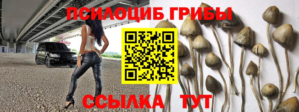 Гашиш  Меф  Россия  МАРИХУАНА  КЕТАМИН  Вход с VPN  NBOMe  Мефедрон   Каннабис 