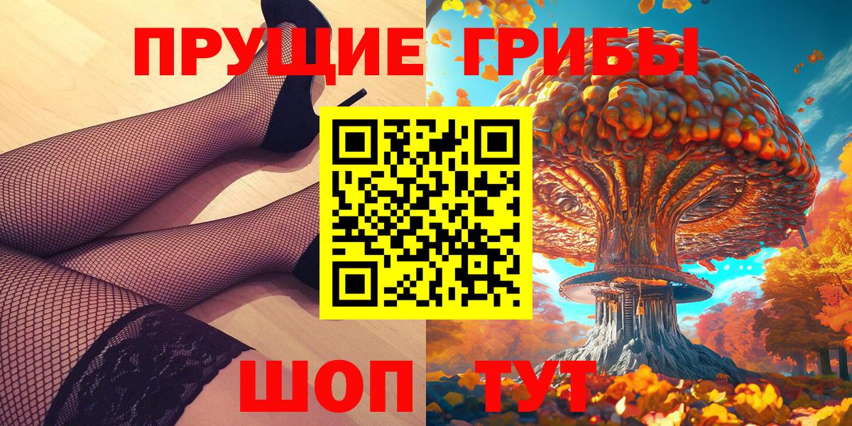 Псилоцибиновые грибы Psilocybine cubensis Россия